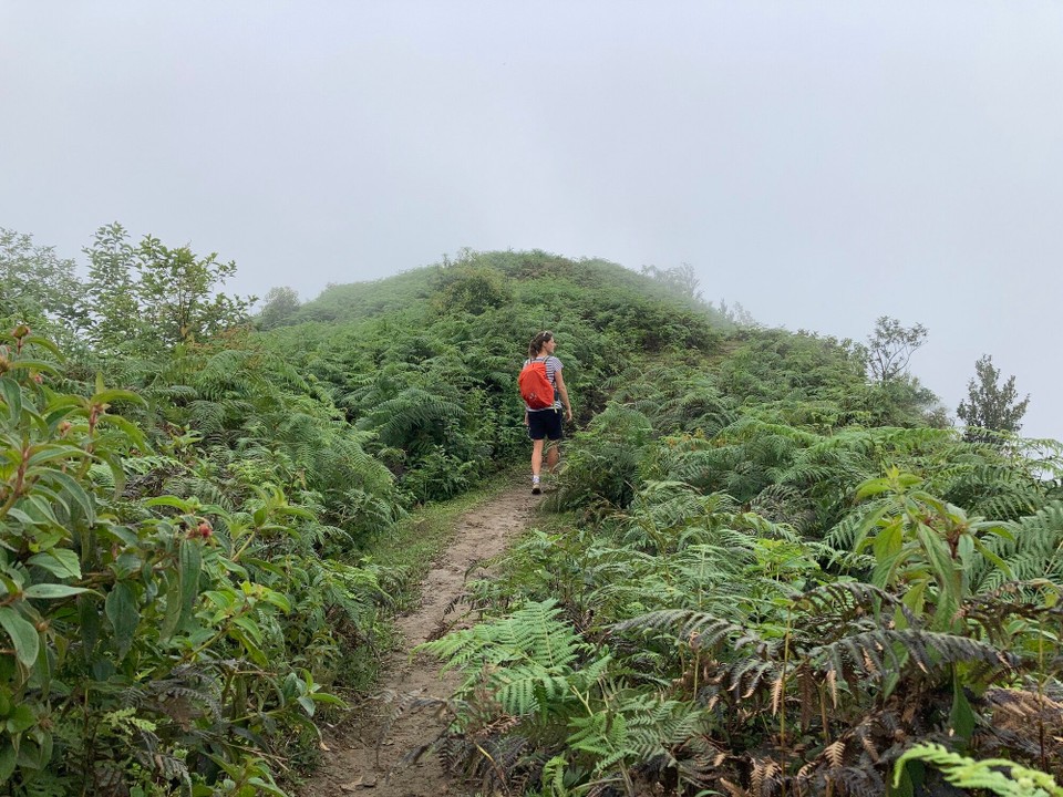 Vietnam - Sa Pa - Nui Ham Rong (1908m)