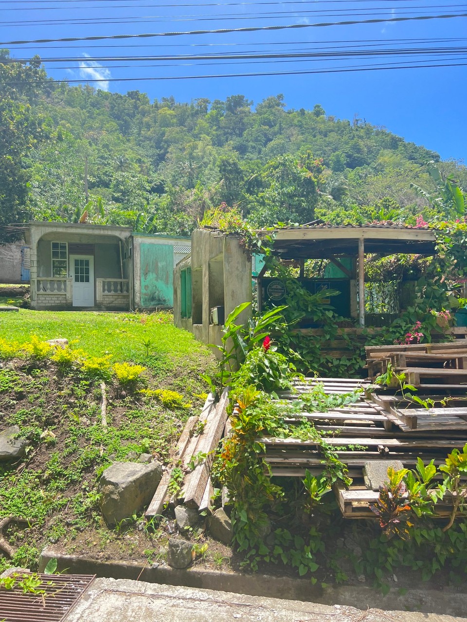 Dominica -  - 