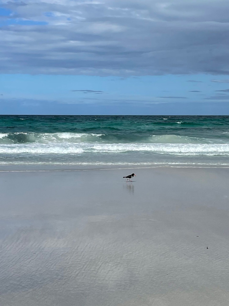 Australien - Freycinet - 