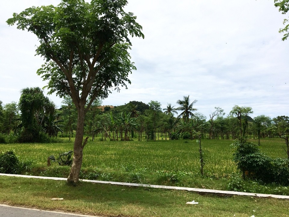 Indonesien - Lombok Tengah - 