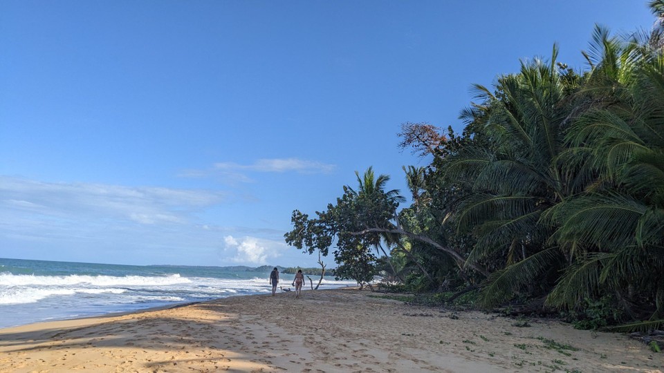 Panama - Playa Bluff - 