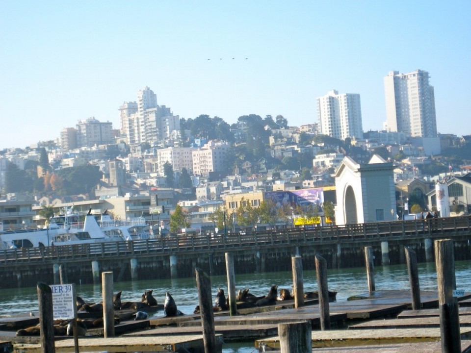 United States - San Francisco - 