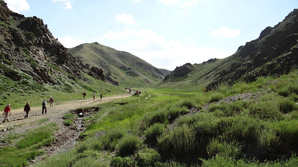 Mongolia - Dalanzadgad - Yoln Am - Lammergeier Gorge