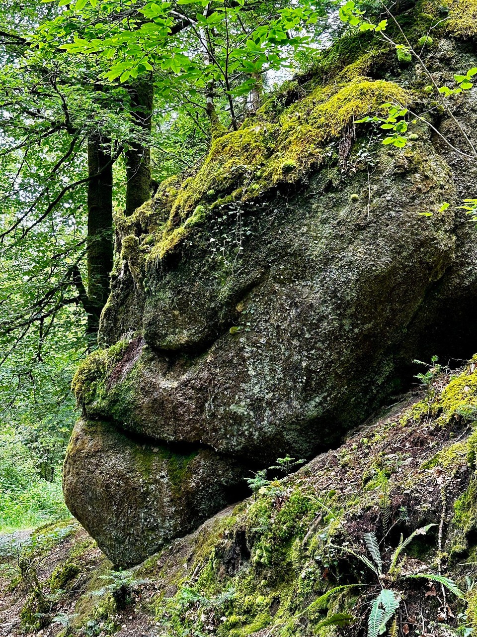 Frankreich - Huelgoat - 