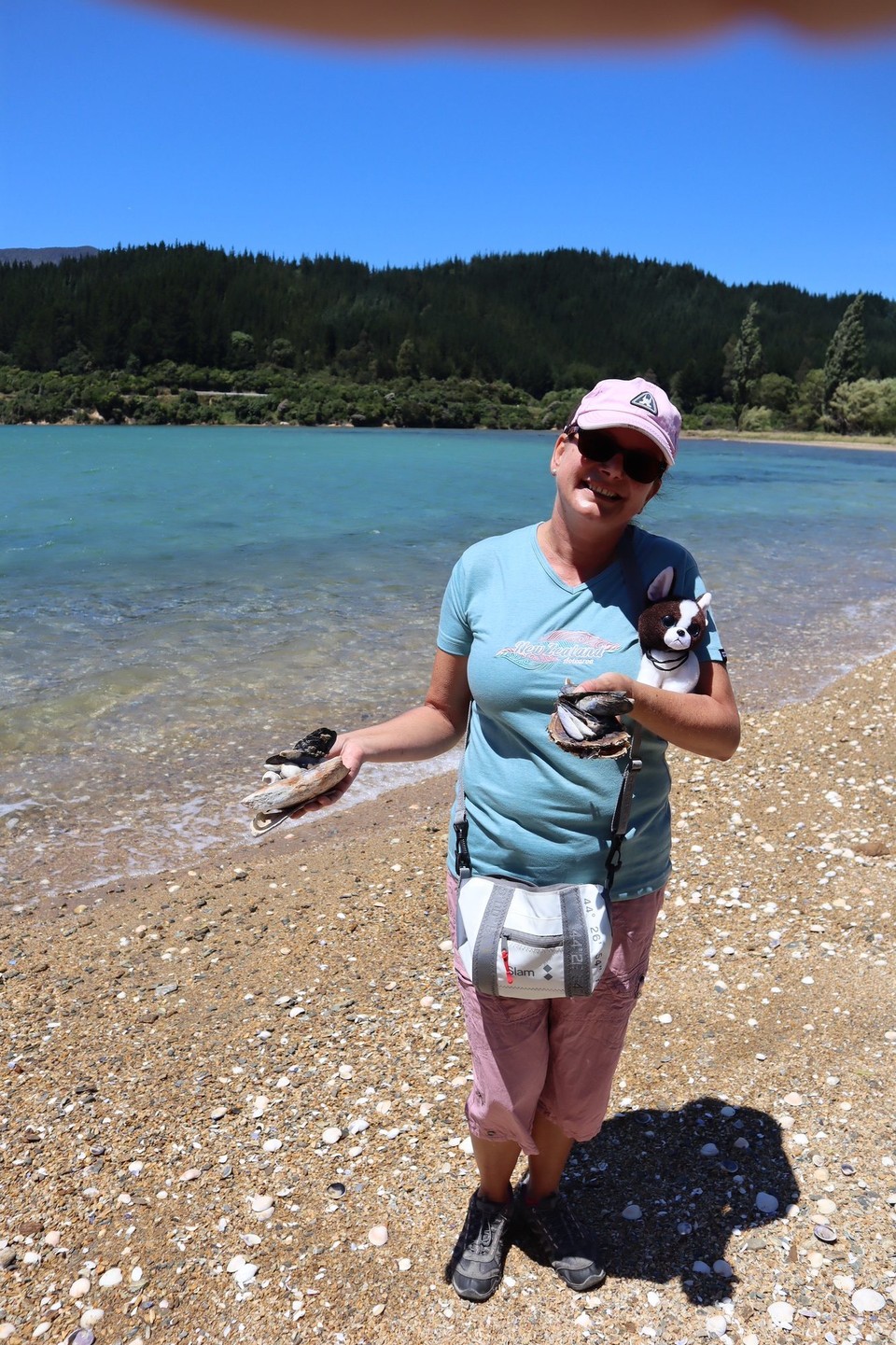 Neuseeland - Picton - 