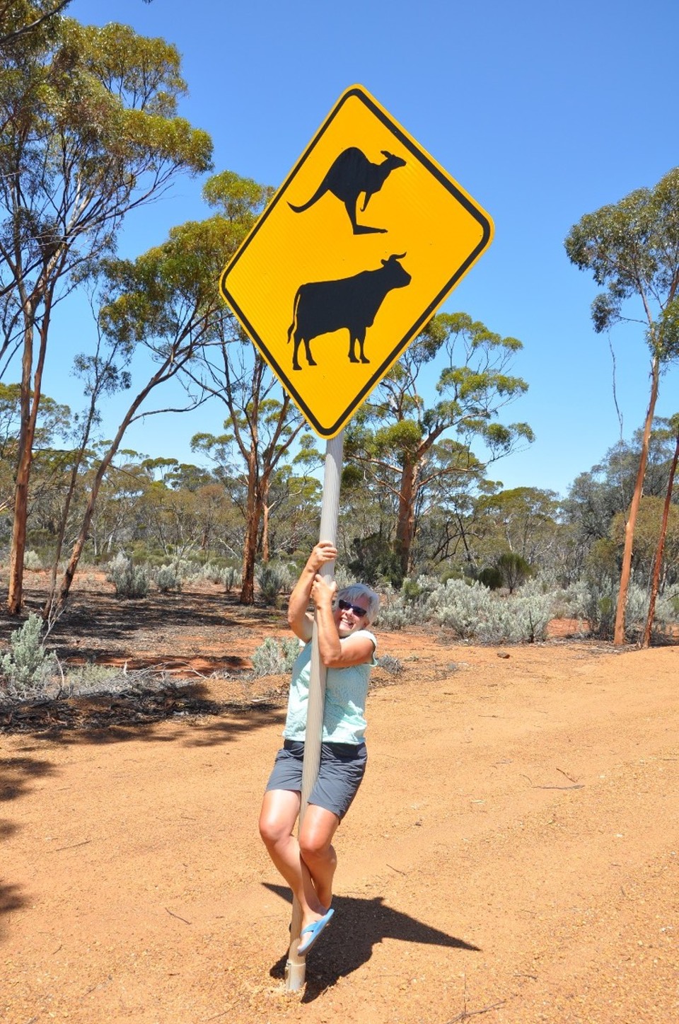 Australien - Kalgoorlie - Achtung: Känguru, Ochse und Clown