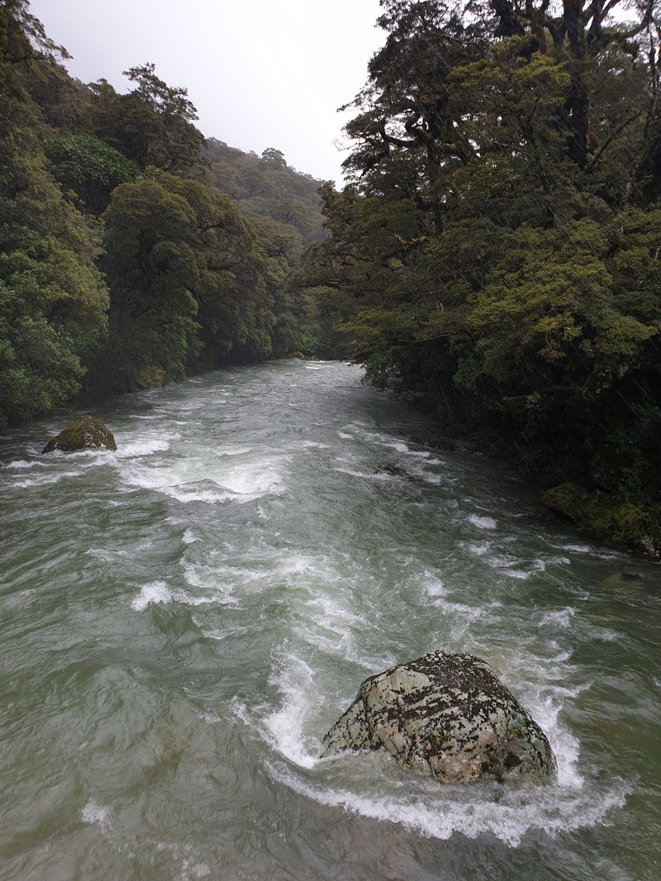 Neuseeland - Te Anau - 