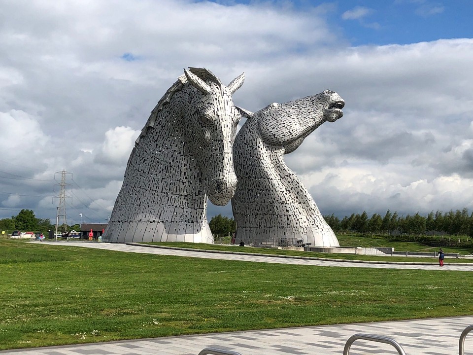 Vereinigtes Königreich - Falkirk - Pferde 
