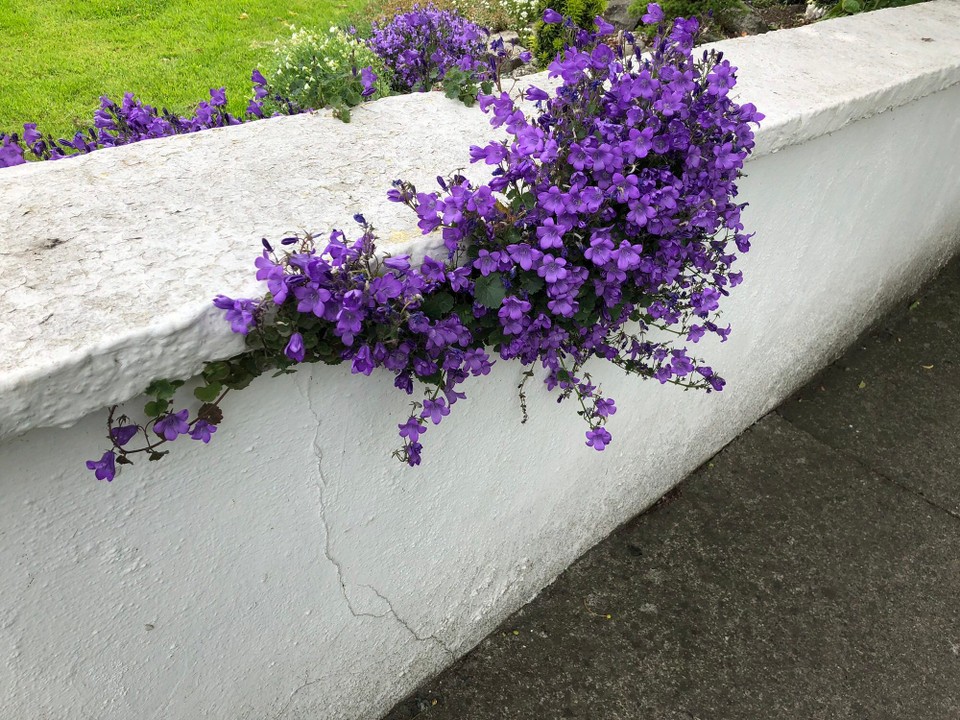 Irland - Tallaght - 