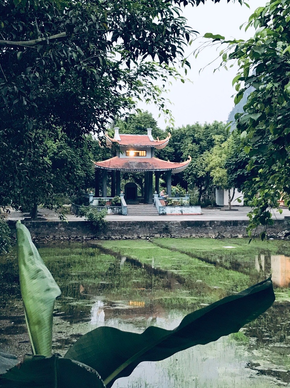 Vietnam - H. Hoa Lư - 