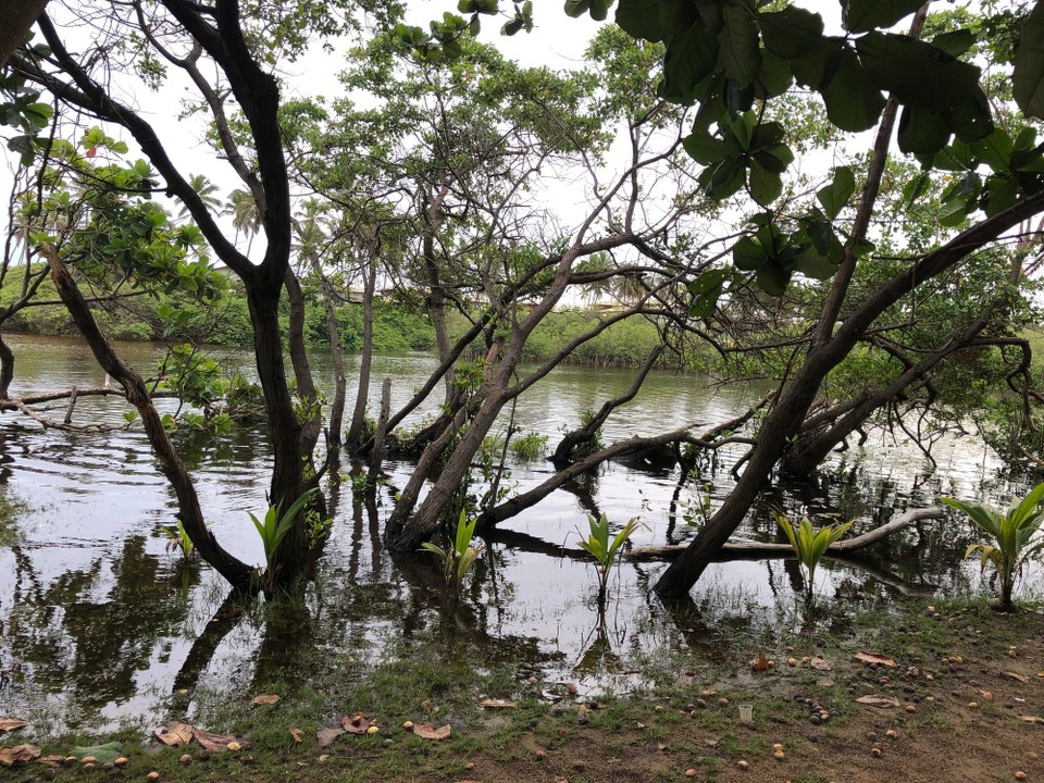 Brasilien - Mata de São João - Unbassai am Fluss