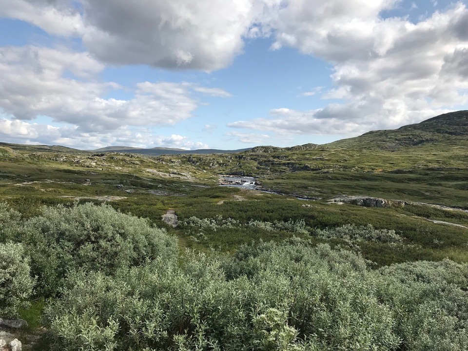 Norwegen - Haugastøl - Hardangervidda 