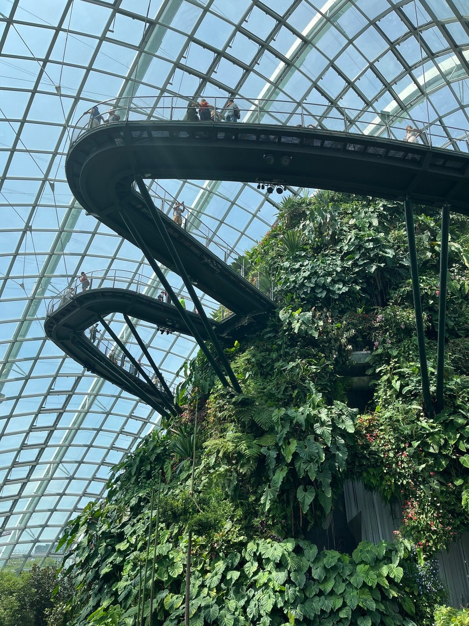 Singapur - Singapur - 