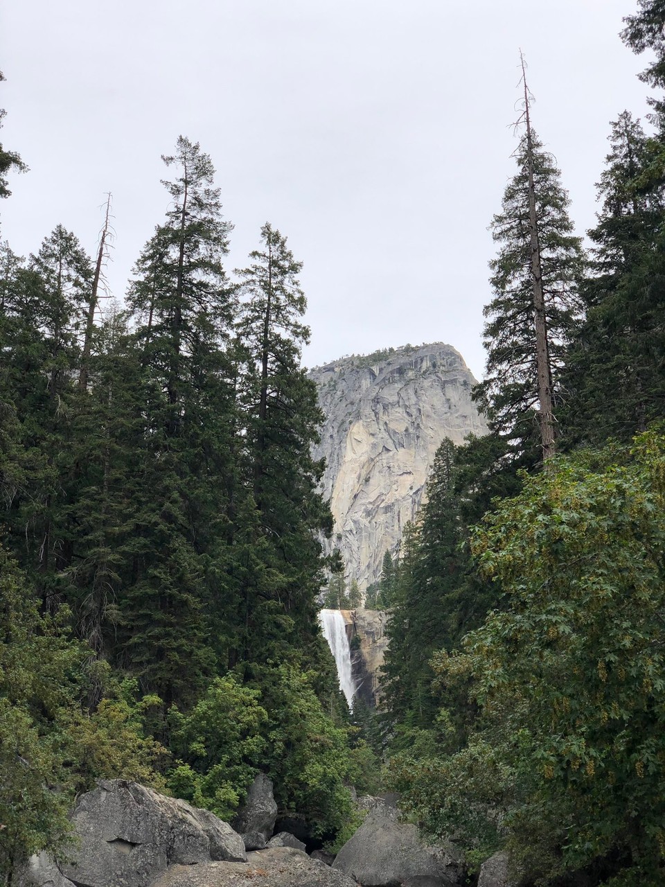 Vereinigte Staaten - Yosemite National Park - 