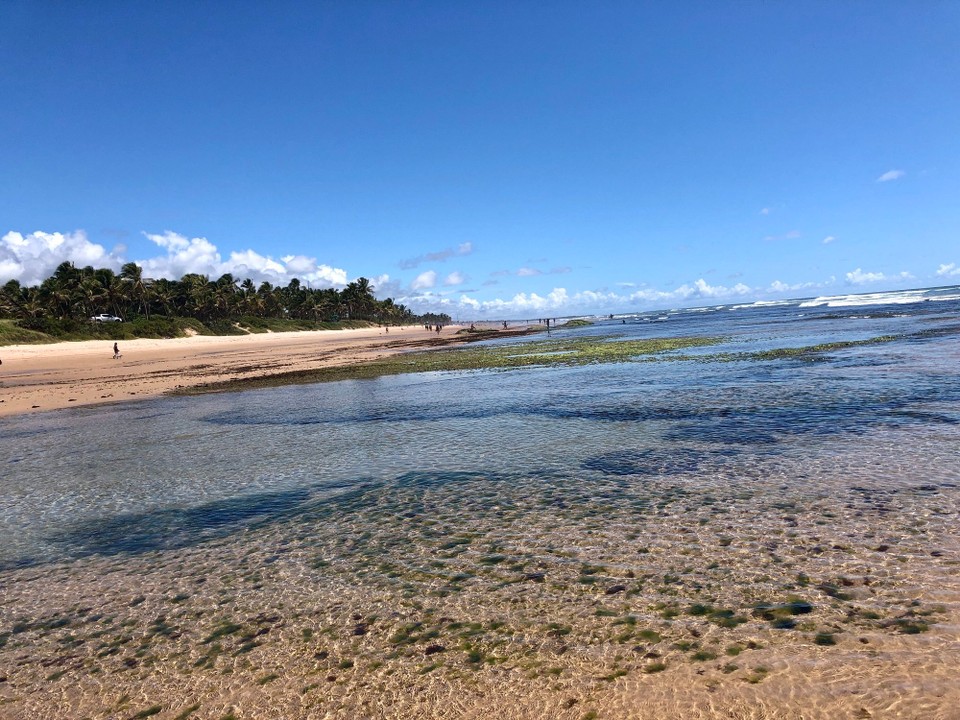 Brasilien - Lauro de Freitas - Flamengo bei totaler Ebbe!