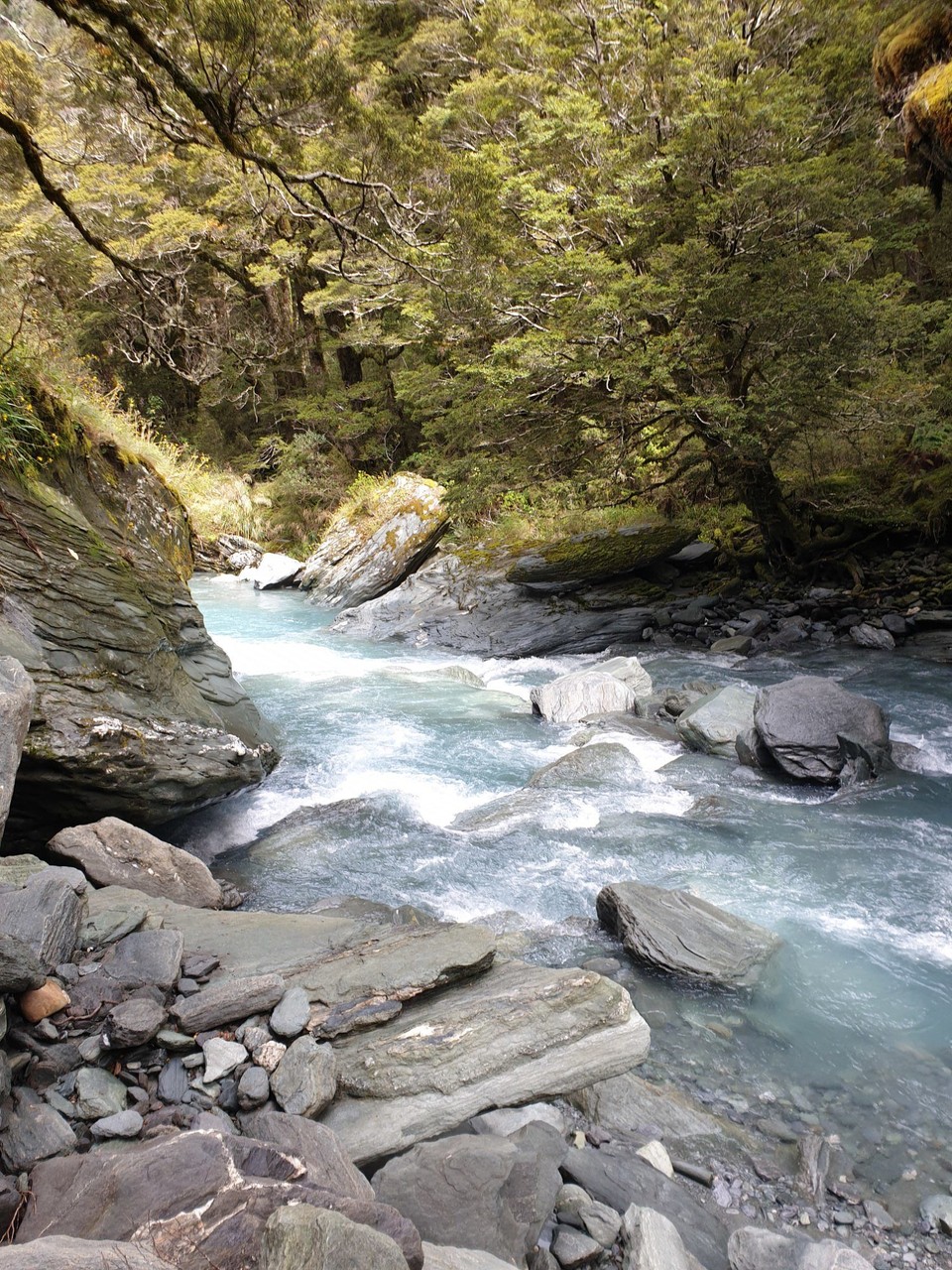 Neuseeland - Wanaka - 