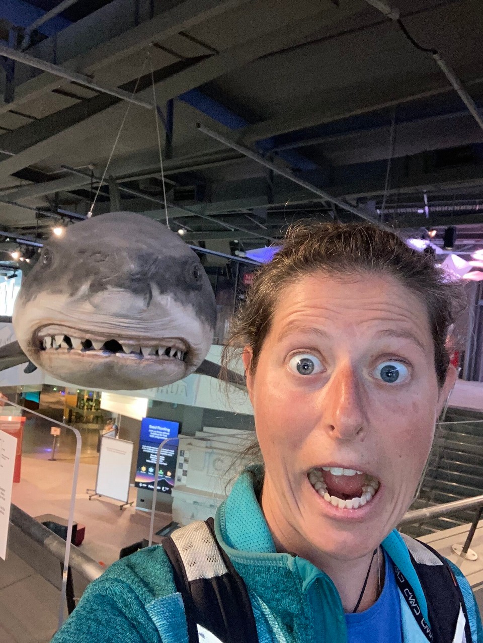 Neuseeland - New Plymouth - 