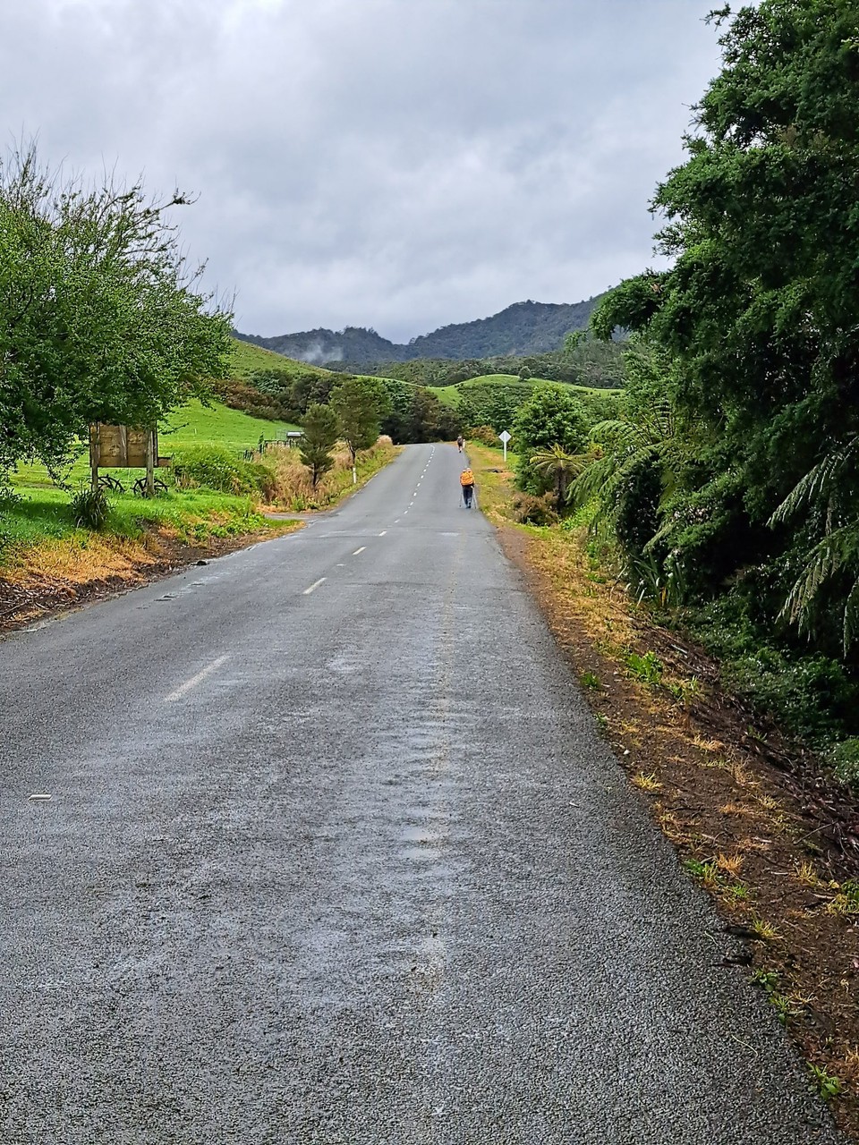 Neuseeland - Whangaruru Beach - Wieder der Strasse entlang 