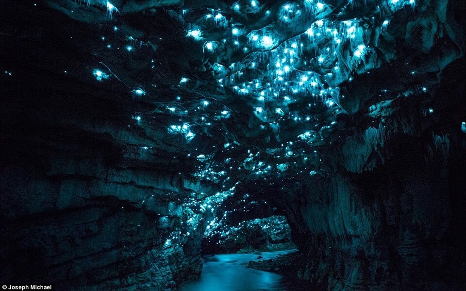 Neuseeland - Hangatiki - Die Glowworm Caves (das Foto habe nicht ich geschossen, fotografieren war leider verboten).