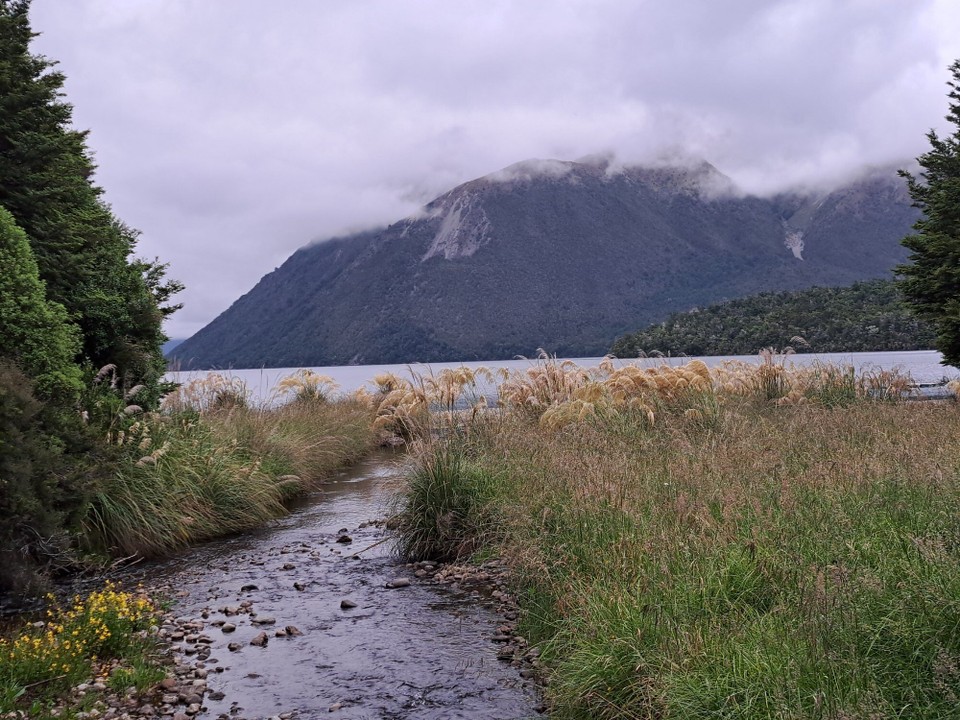 Neuseeland - Nelson Lakes National Park - 