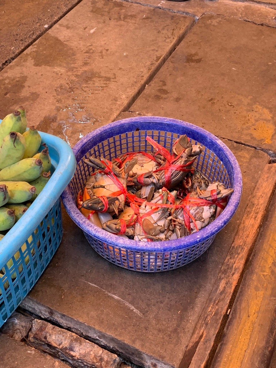 Thailand - Bangkok - 