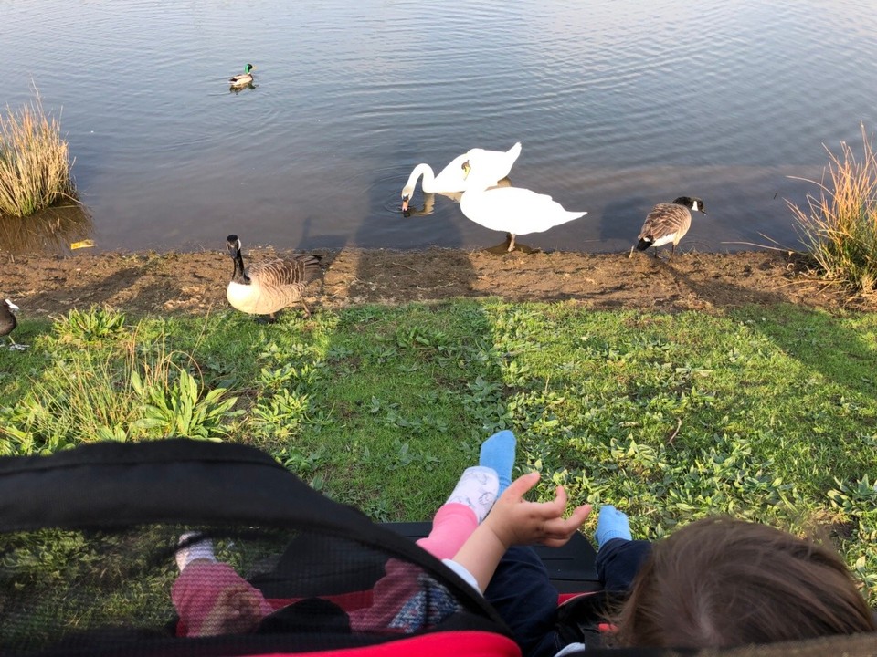 United Kingdom - Bolton - 