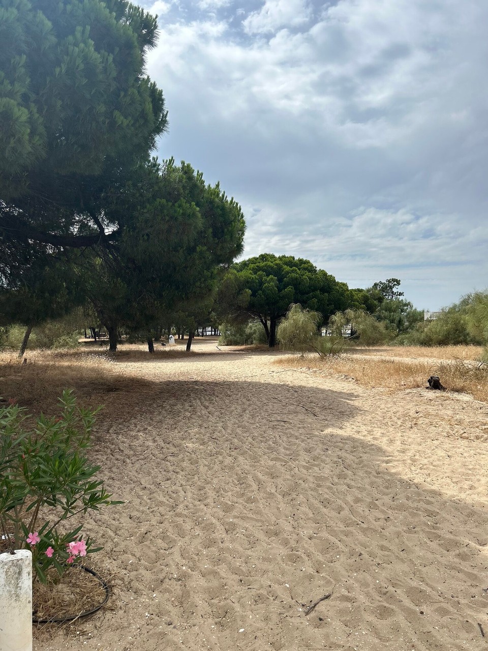 Portugal - Tavira - 