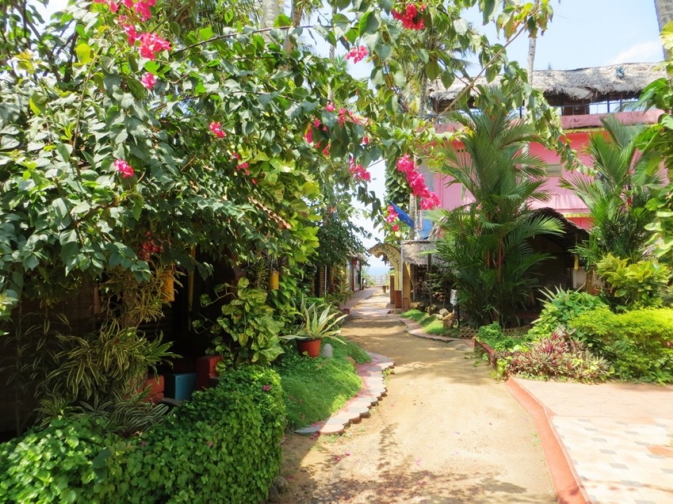 Indien - Varkala - 