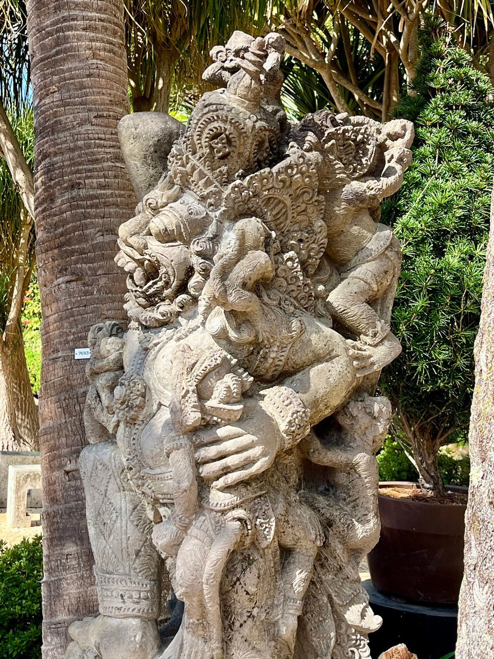 Portugal - Funchal - 