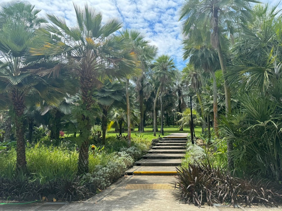 Singapur - Singapur - Gardens by the Bay