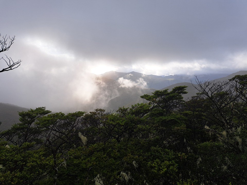 Neuseeland - unbekannt - 