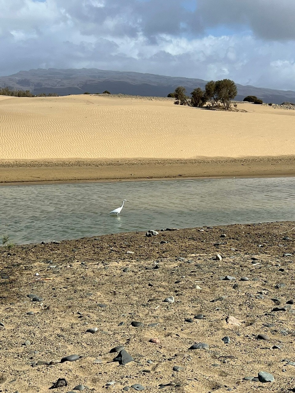 Spanien - Las Palmas de Gran Canaria - 