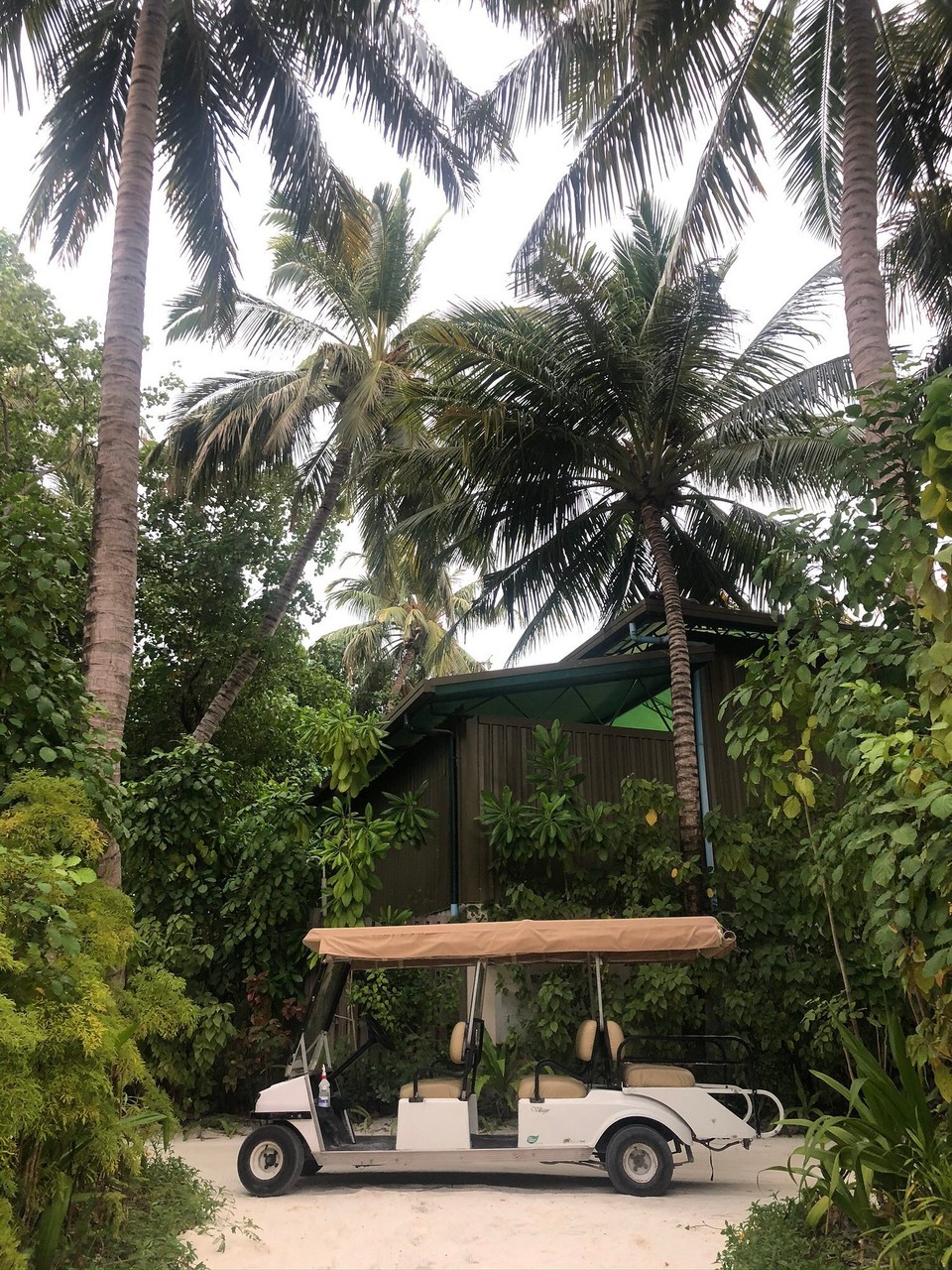 Maldives - Rangali - 
