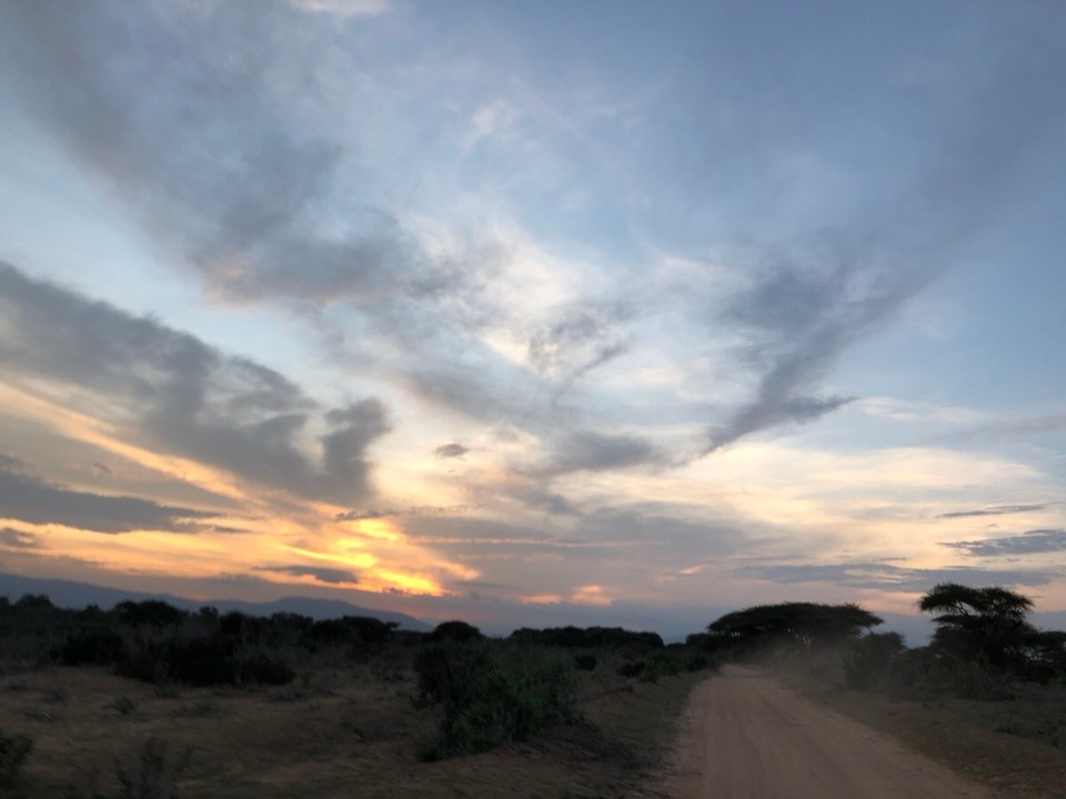Kenia - Taita - 