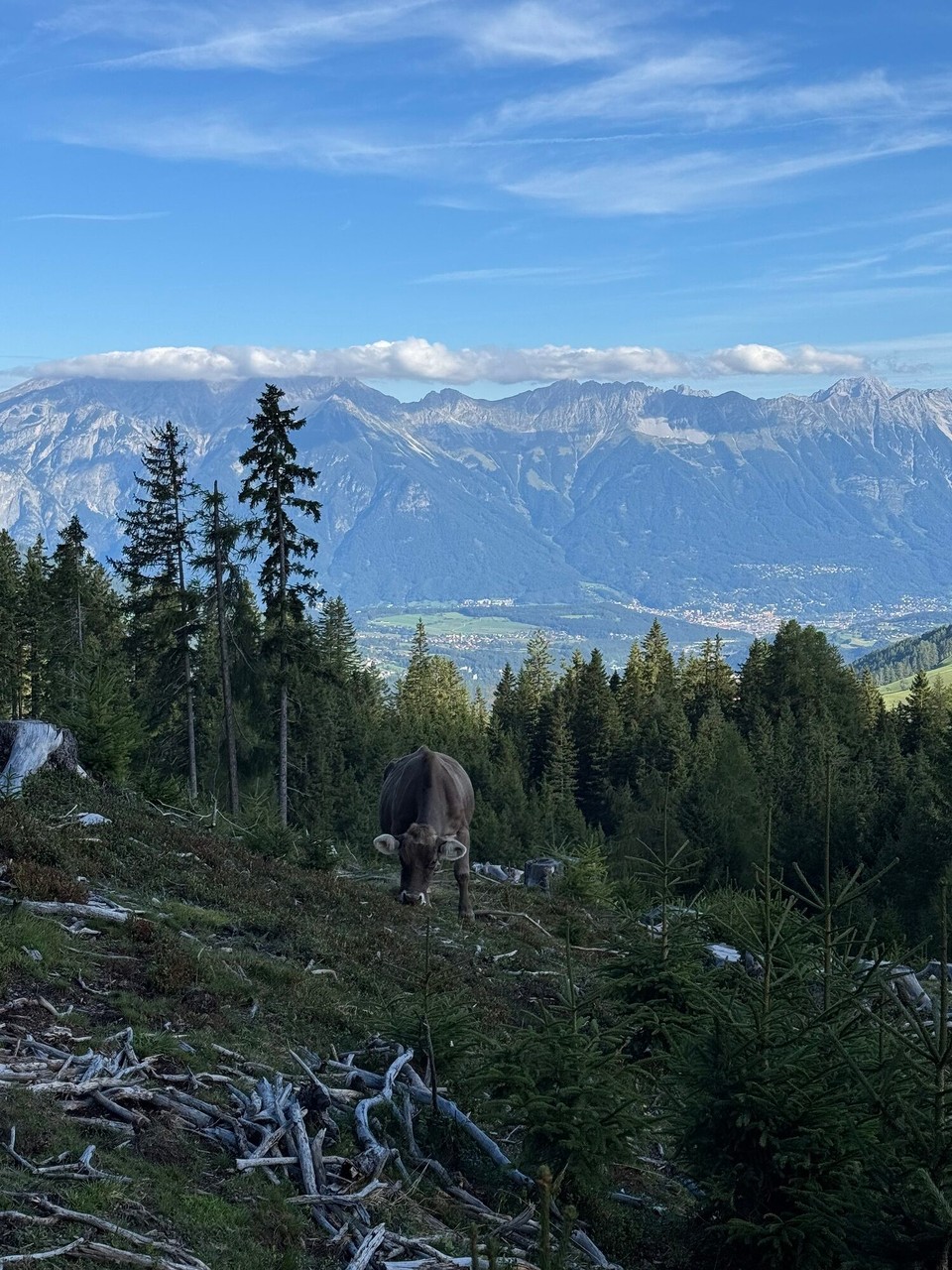 Österreich - Mieders - 