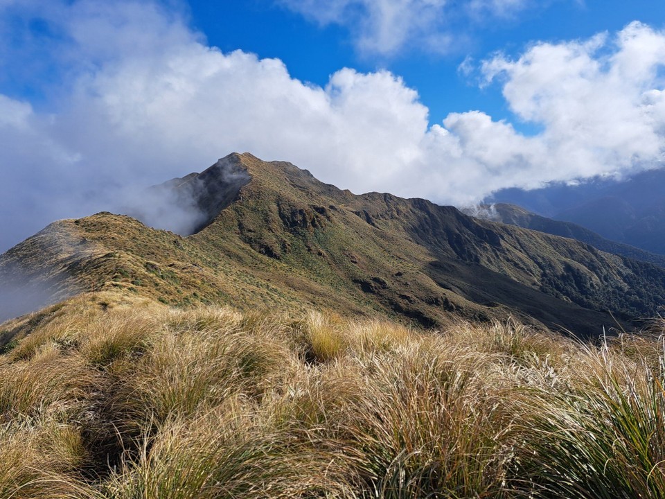 Neuseeland - Parawai Lodge - 