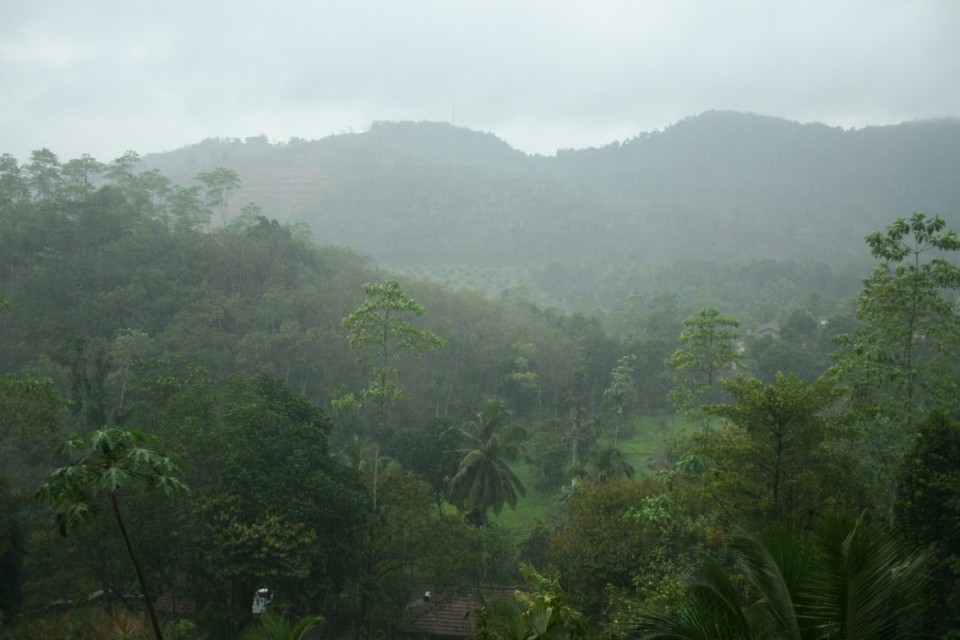 Sri Lanka - Yattapatha - Pelawatta - 