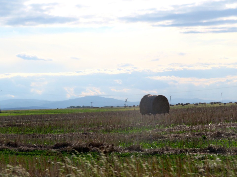 Polen - Moschen - 