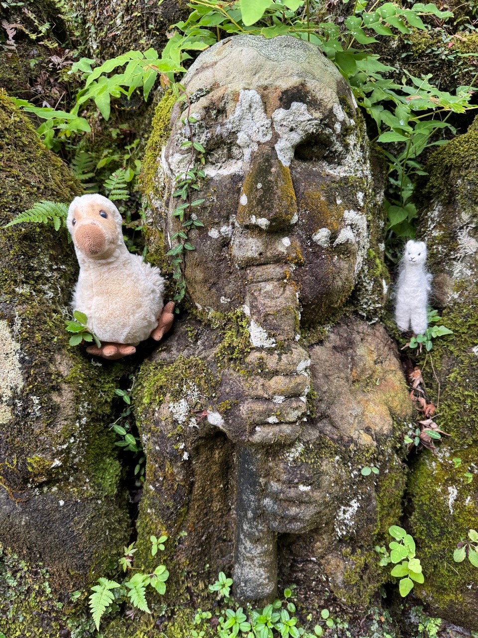 Japan - Kyoto - 2 neue Jünger