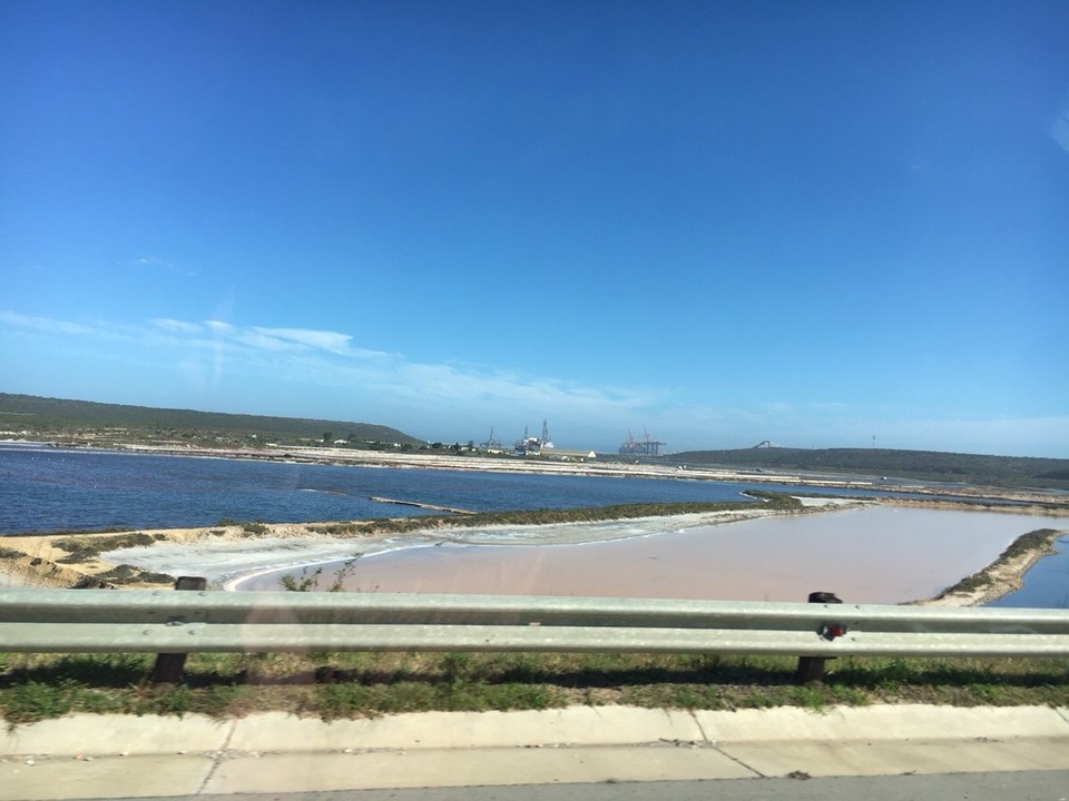 Südafrika - Port Elizabeth - port elizabeth einreise ... pffff ... sieht nicht gesund aus