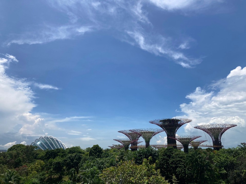 Singapur - Singapur - Garden by the Bay - nicht überraschend, dass die Auswahl der Bilder heute super schwierig war, es war einfach so schöööön 🤩🥳