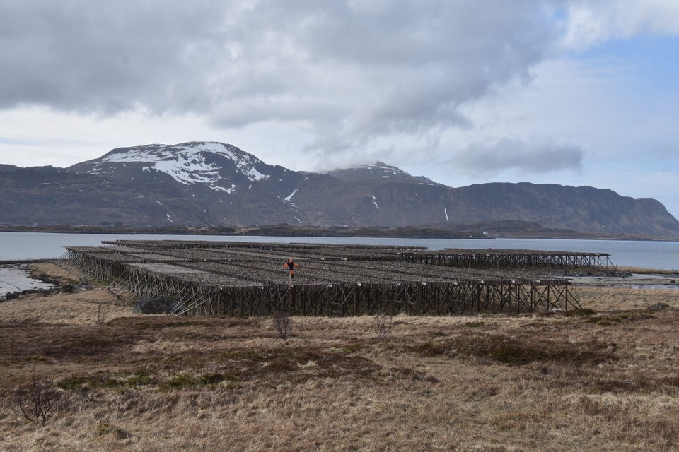 Norwegen - Sørvågen - 