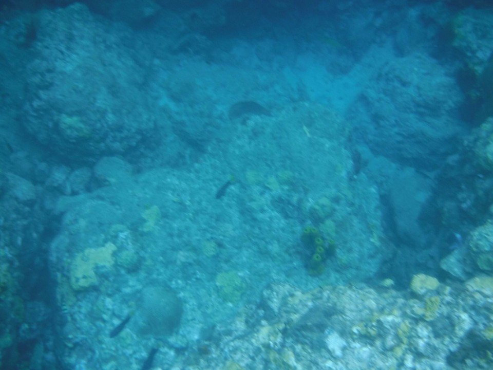 Dominica -  - 