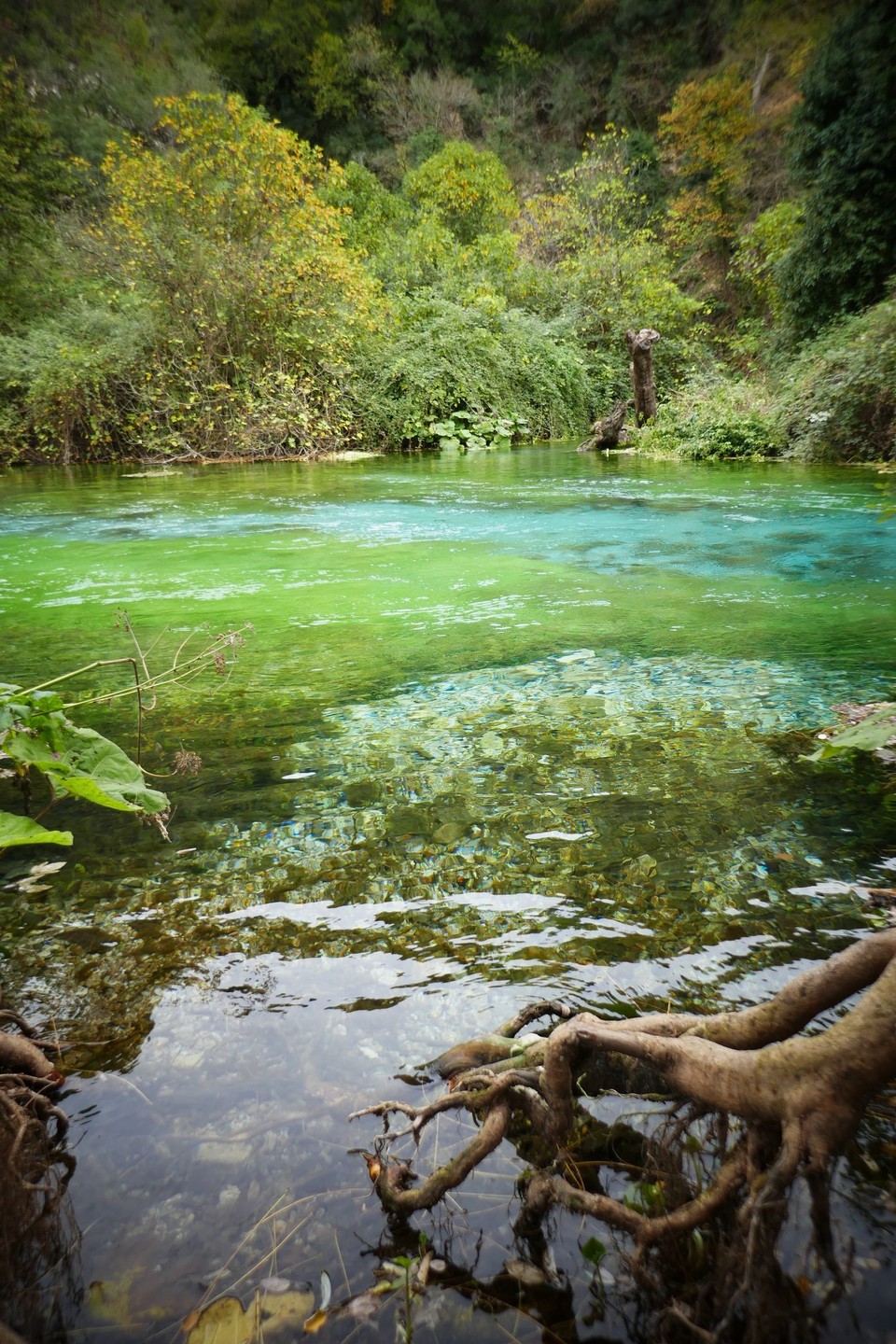 Albanien - Syri i Kaltër - 