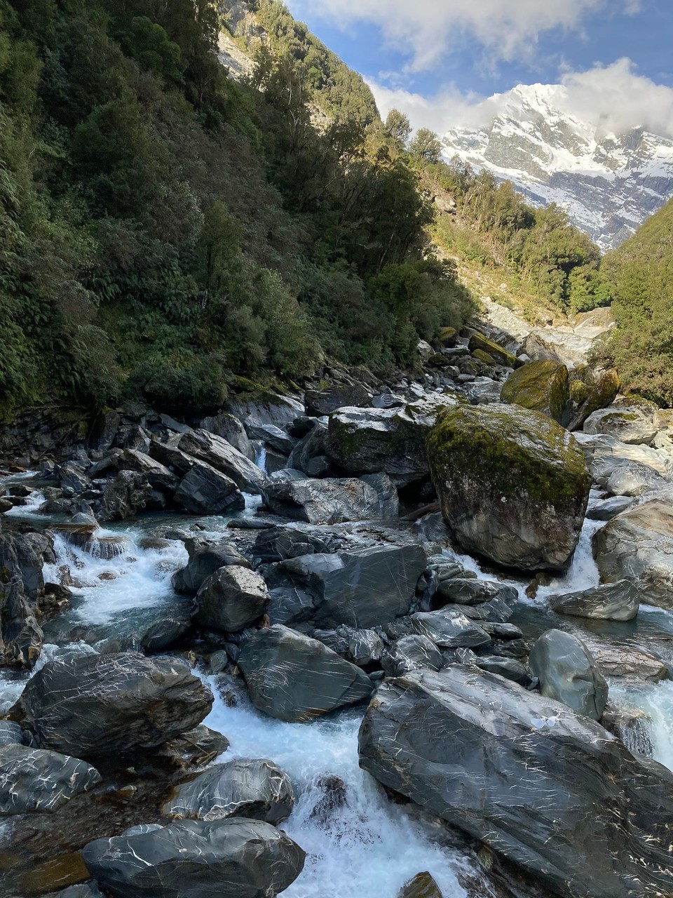 Neuseeland - Whataroa - 