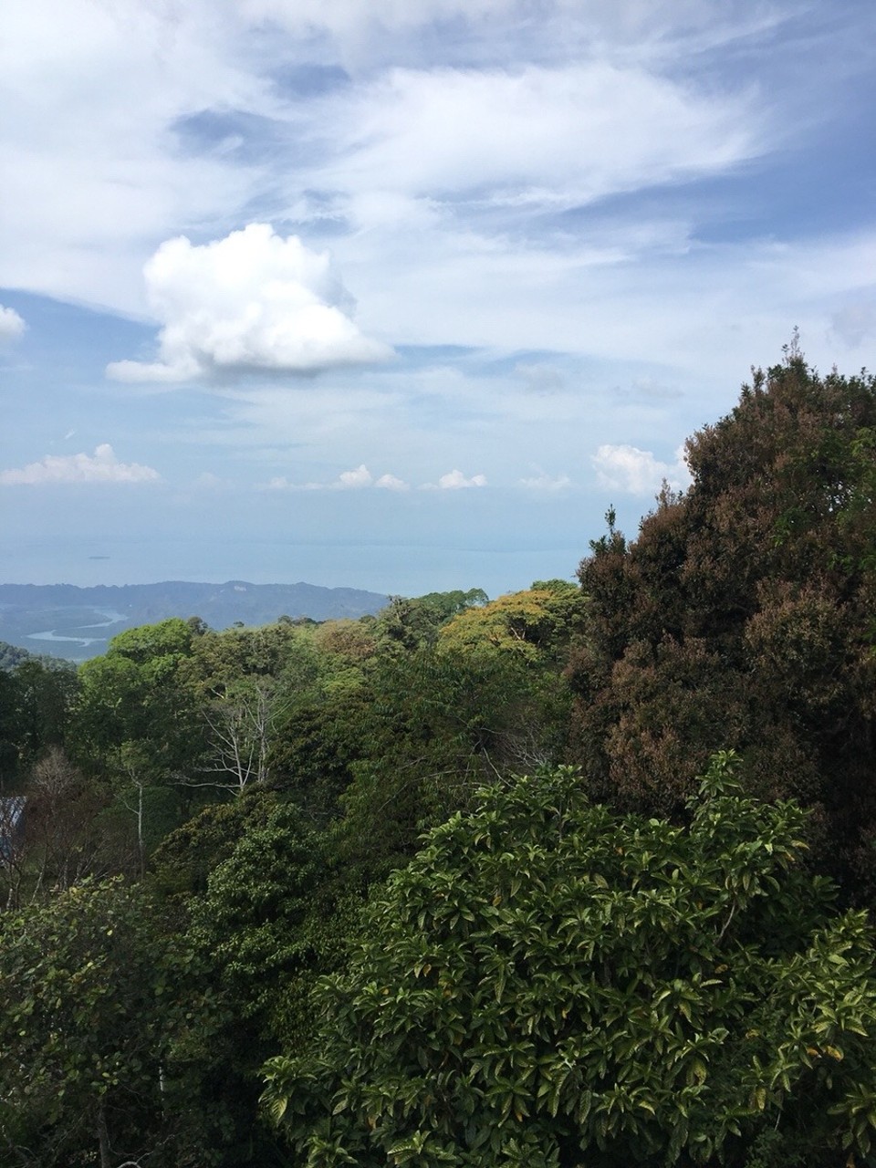 Malaysia -  - 