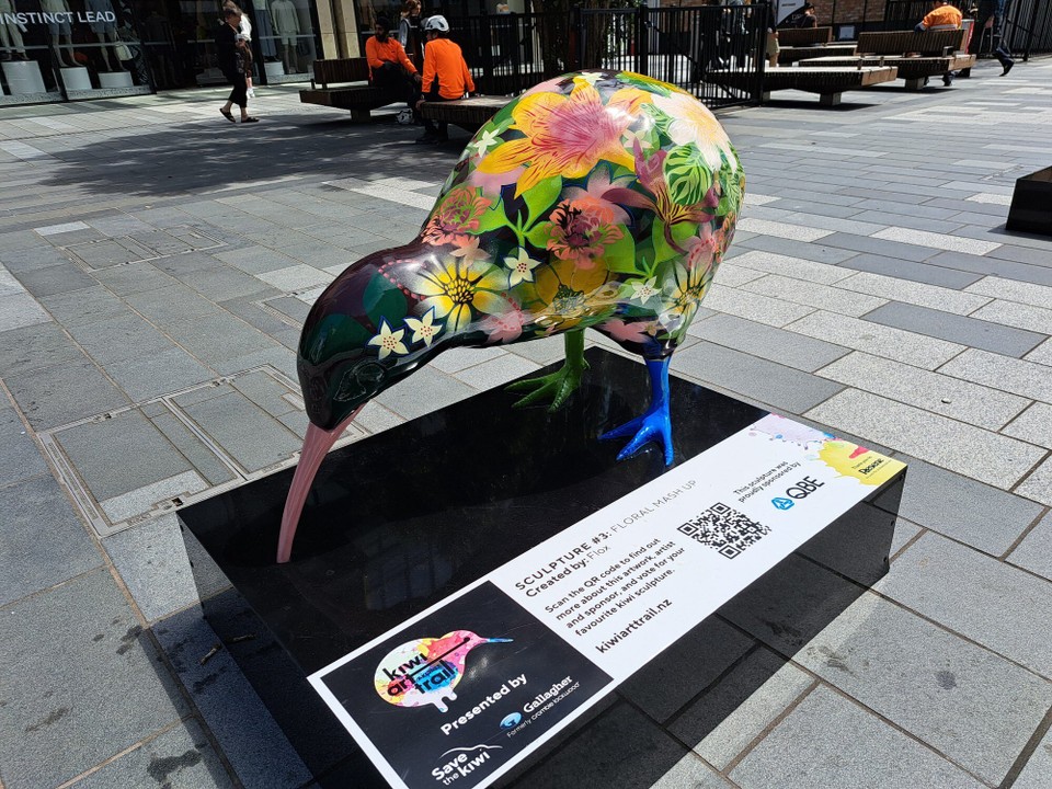 Neuseeland - Auckland - schön bunte Kiwi 