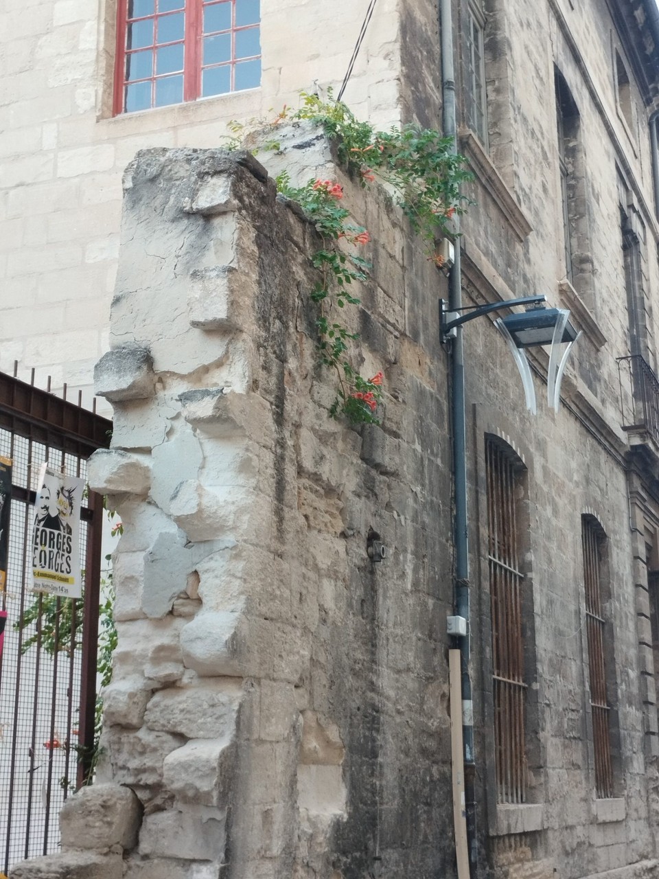 Frankreich - Avignon - 