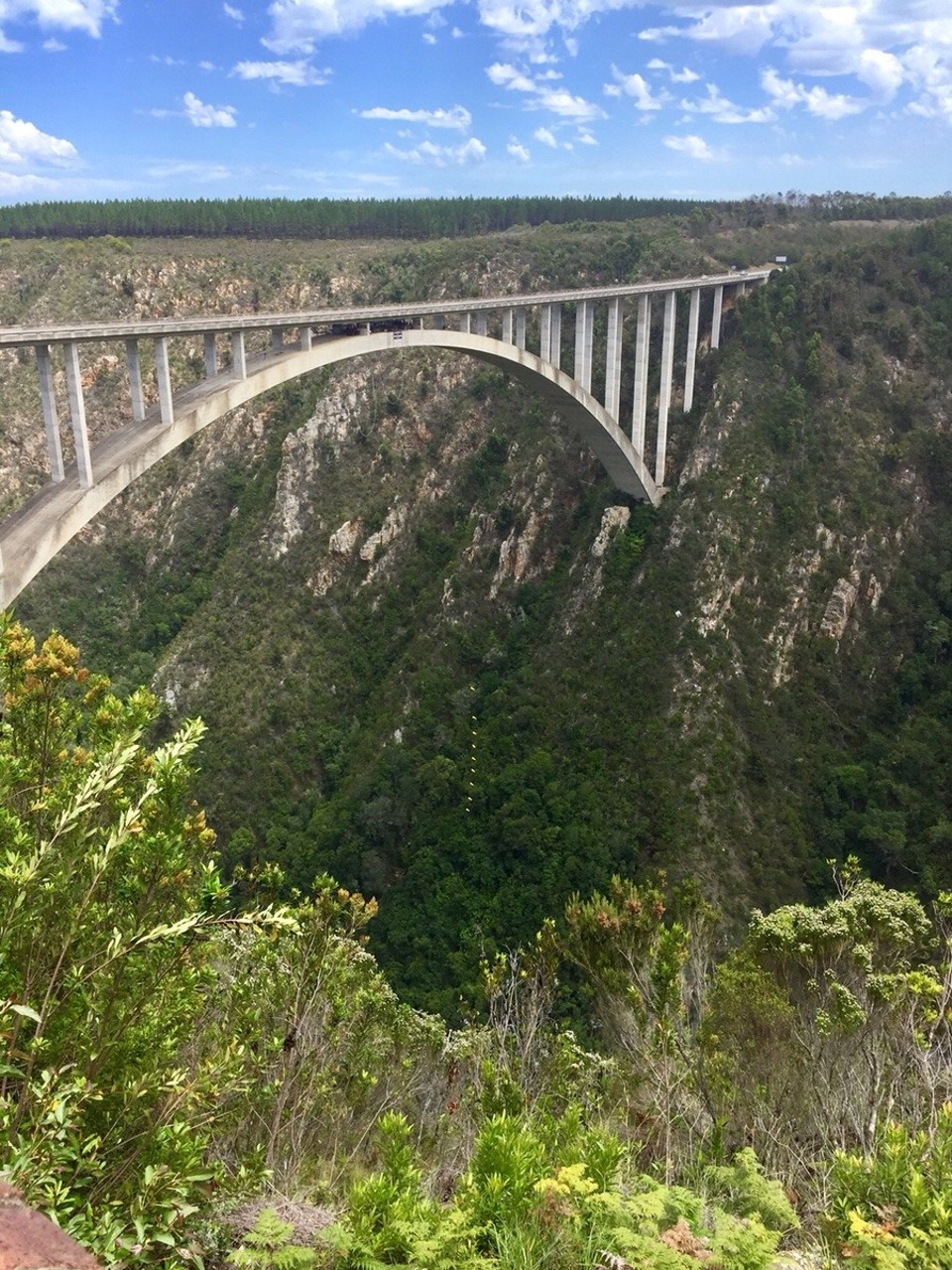 Südafrika - Plettenberg Bay - Face Adrinalin Bungy Bridge 216 m hoch
Bloukrans Bungy