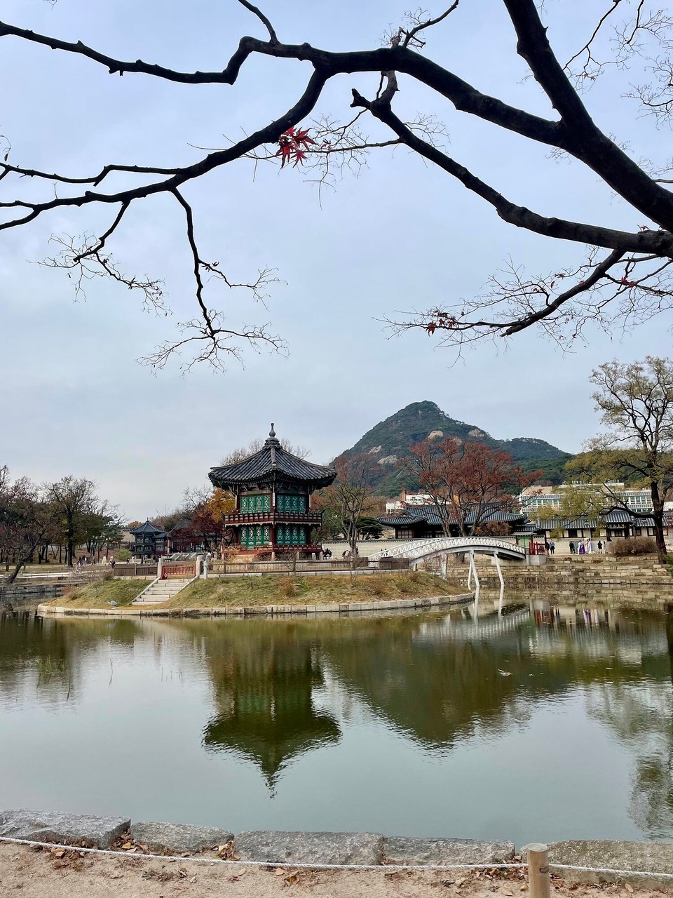 대한민국 - 서울특별시 - 
